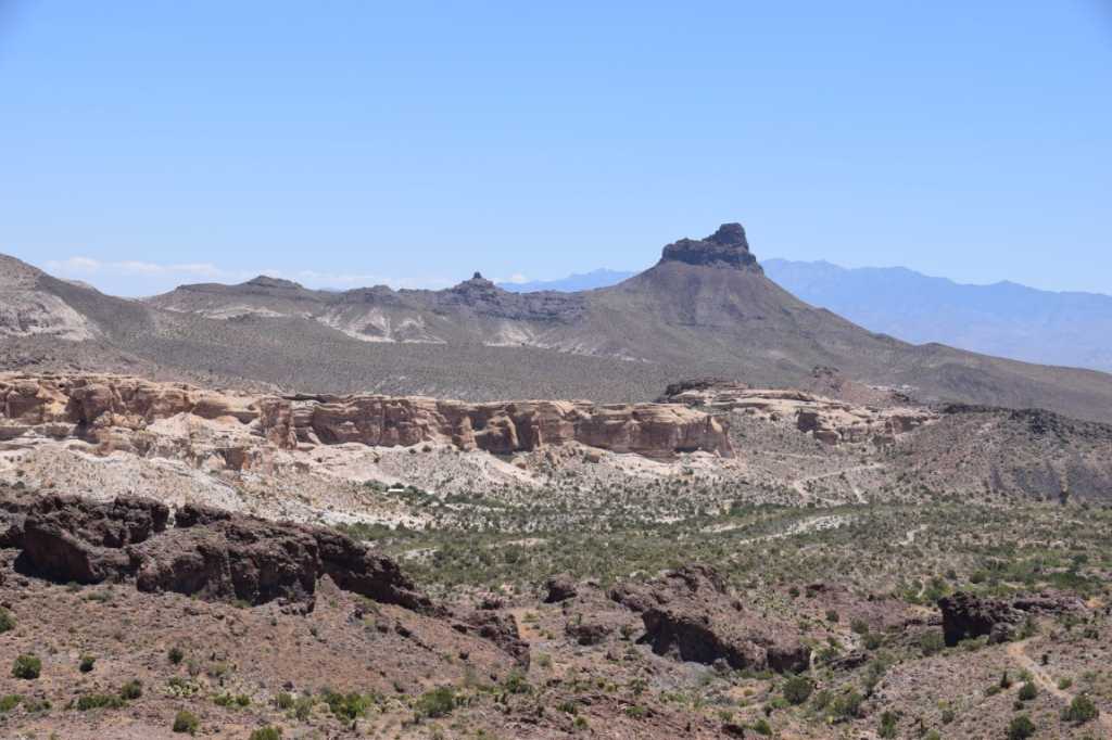DSC_0231Mittel_.JPG